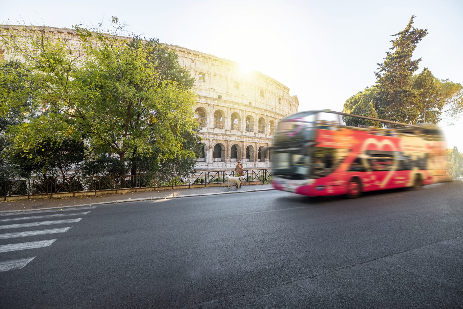 Rome city landscape